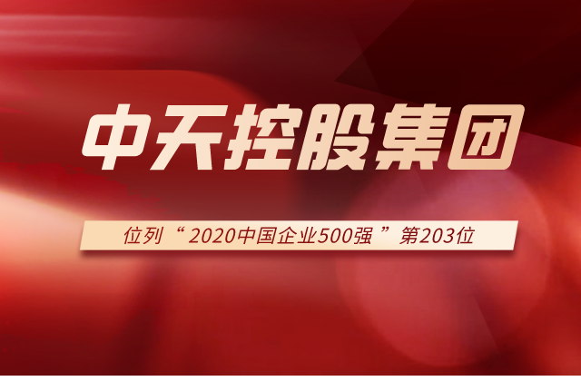 金世豪集团列2020中国企业500强第203位！